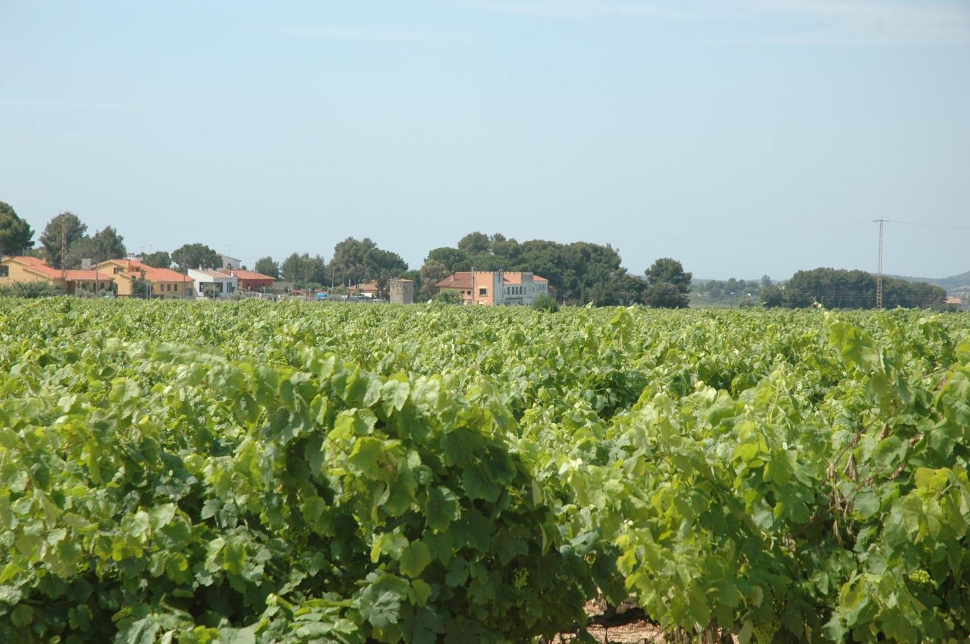 Hotel Restaurant El Bosc Banyeres del Penedes Zewnętrze zdjęcie